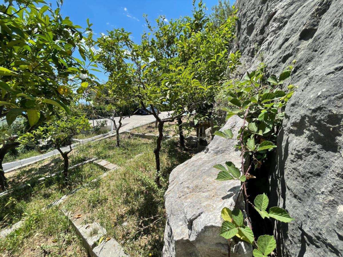 Villetta - Qui Dove Il Mare Luccica - Affitti Brevi Italia Monte Sant'Angelo Exterior photo